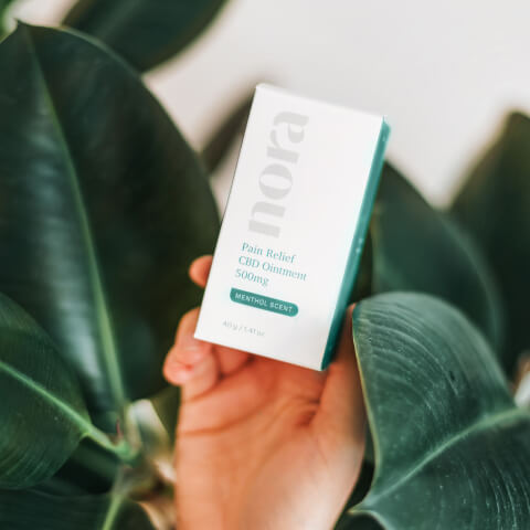 Instagram highlight 1